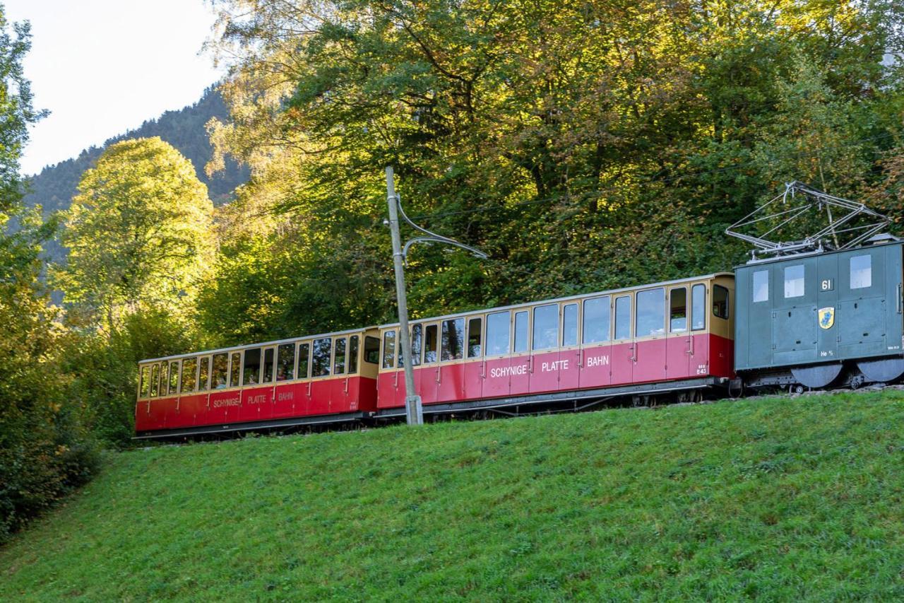 Chalet Waeschhuesli Near Interlaken, Grindelwald And Lauterbrunnen 格施泰格维勒 外观 照片